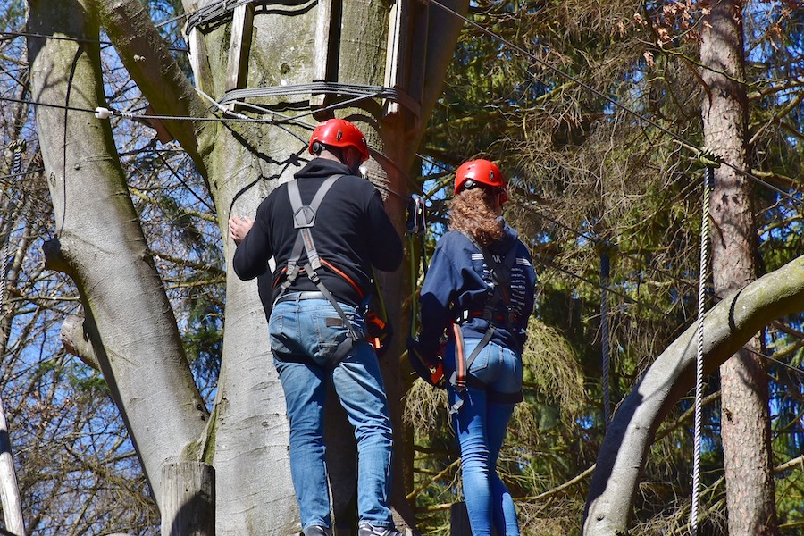 Parco avventura esperienza di team building