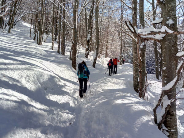 team building sulla neve team building sulla neve