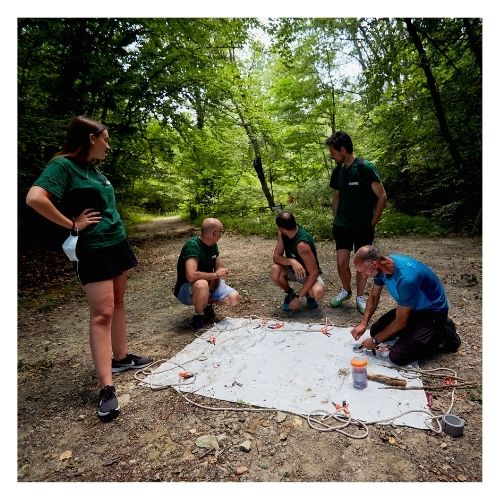 Survival team building Milano