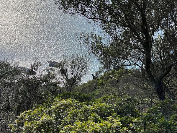 Corefab Società Benefit organizza team building in Sardegna
