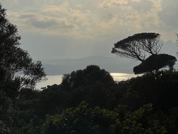 Idee innovative di team building Sardegna