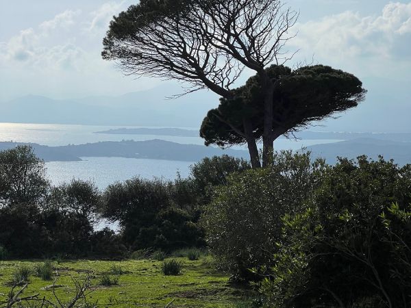 Team building Naturalistico Corefab