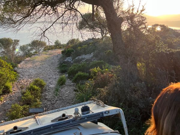 Team building immersi nella natura selvaggia della Sardegna con Corefab