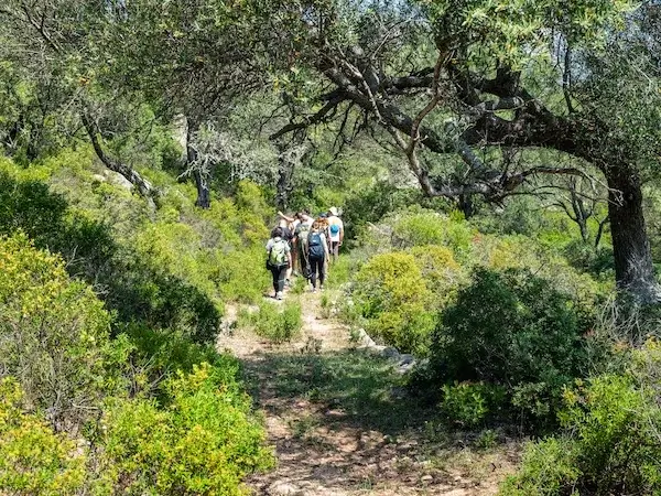 Team building immersi nella natura della Sardegna con Corefab