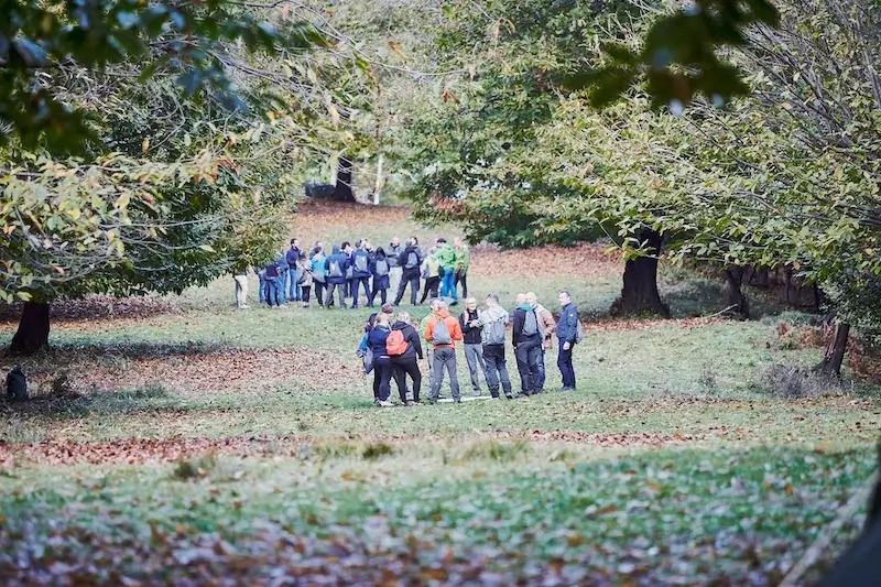 Come scegliere attività di team building