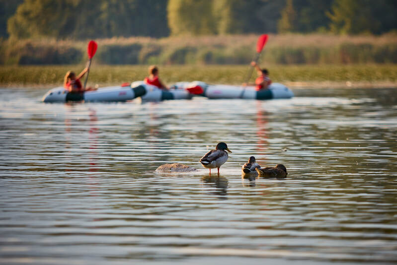 Kayak team building sul Lago di Pusiano